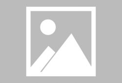 黑色曼陀罗漫画免费,暗夜绽放的禁忌之花